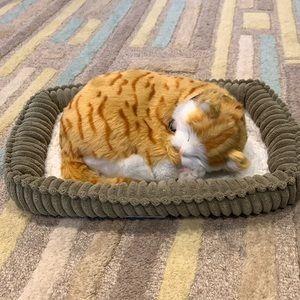 Perfect Petzzz tabby cat